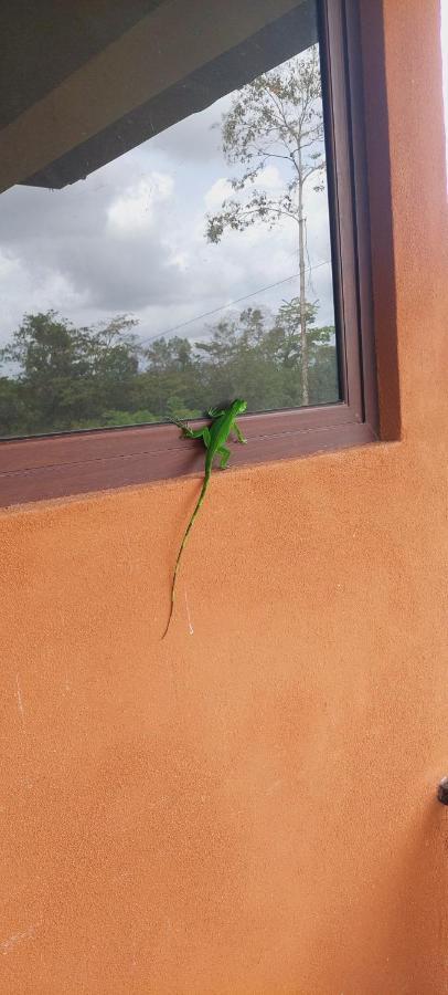 Green Leaf House La Fortuna Екстер'єр фото
